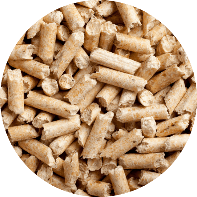 バイオマス蒸気ボイラーの導入